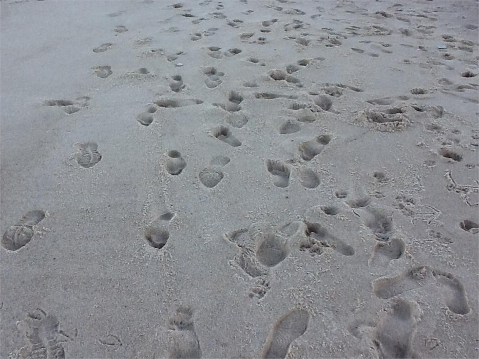Foot prints in the sand...who's carrying you?
