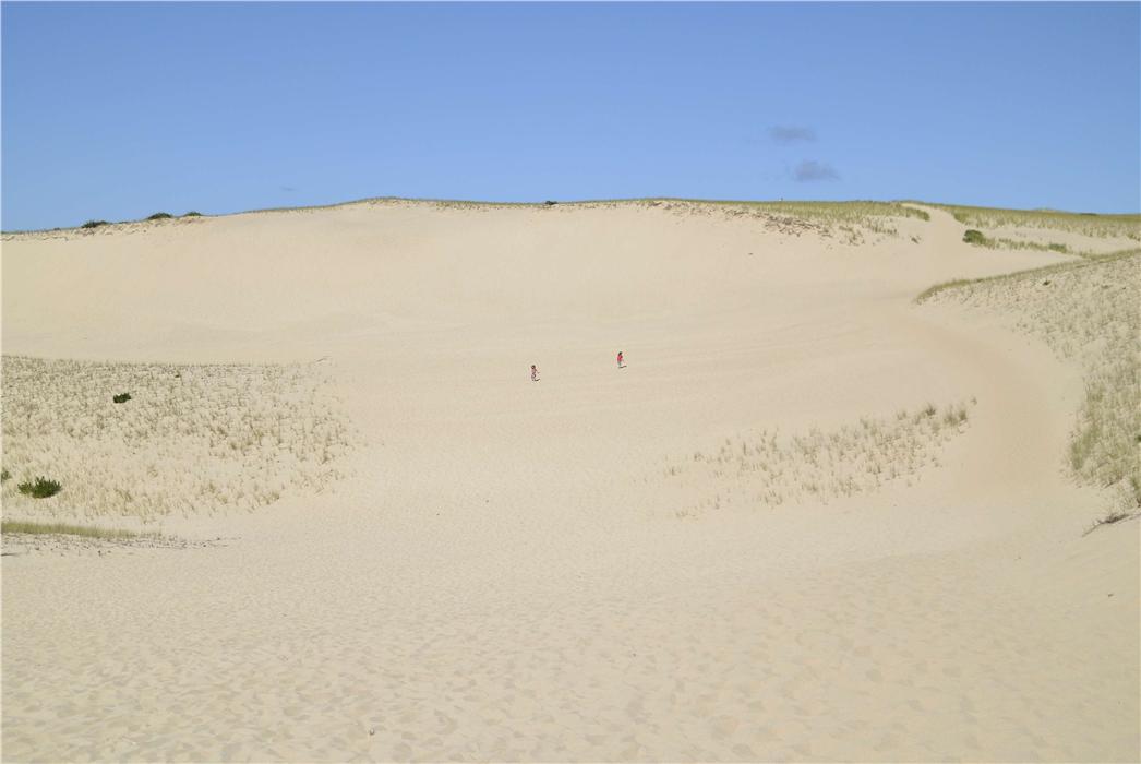 the dunes were awesome. like a lunar landscape with breathtaking views. the beach a mile away was also impressive.