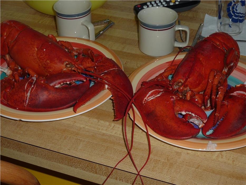 If you prefer to dine in, there is always a fish market that will prepare your lobster so you have no work to do.