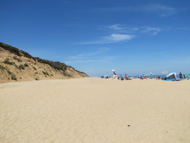 Nauset Light Beach, with long stretches of sand and bobbing heads of seals; lovely day for a stroll.
