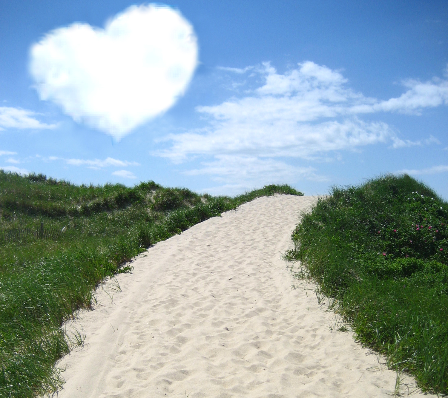 Next to your home and property, what is it that draws you to Cape Cod, Martha's Vineyard or Nantucket year after year? What calls to you when you are away? And, what compelled you to take on a home here in the first place? My bets are all in on the beach.