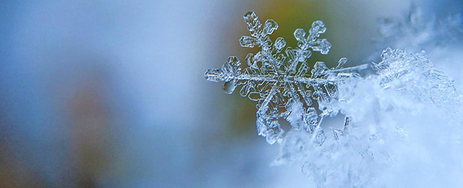 Protect your vacation rental this winter. Use our off-season checklist for interior, exterior, and energy-efficiency tasks to avoid costly damage and boost value.