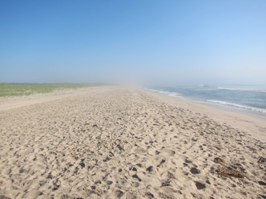 cape cod beaches