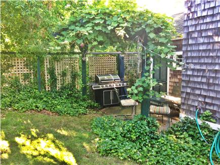 Oak Bluffs Martha's Vineyard vacation rental - Back yard grape arbor, grilling/sitting area and outdoor shower