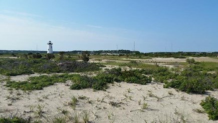 Edgartown Martha's Vineyard vacation rental - The Lighthouse Beach and Edgartown Harbor are about 2 miles away