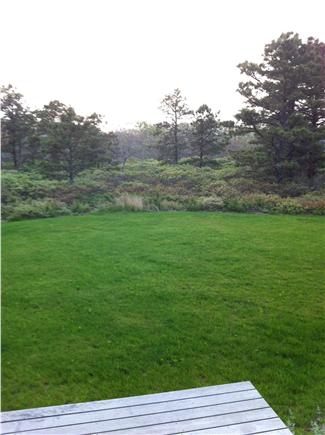 West Tisbury Martha's Vineyard vacation rental - Extra space for kids- Beautiful Grassy yard both front and back