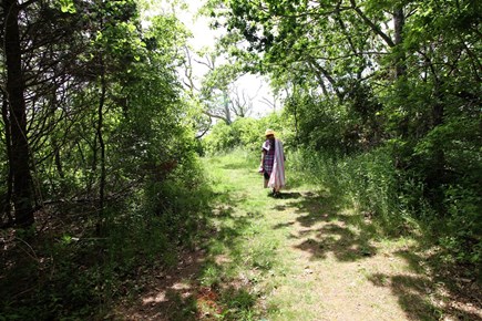 Chilmark Martha's Vineyard vacation rental - 1/4 mi footpath to beach/stairs