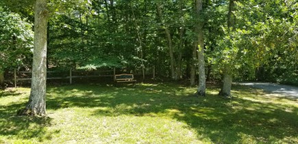 West Tisbury Martha's Vineyard vacation rental - Large quiet and peaceful front yard