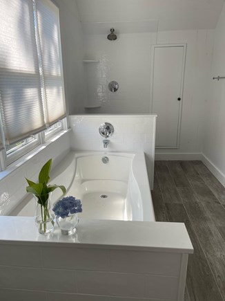 Oak Bluffs, East Chop Martha's Vineyard vacation rental - Newly renovated large bathroom with tub and stand up shower