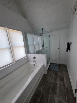 Oak Bluffs, East Chop Martha's Vineyard vacation rental - Renovated 2nd Floor Bathroom with Standup Shower and bathtub