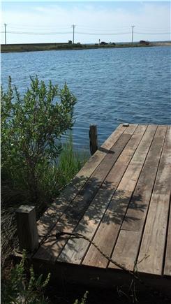 Oak Bluffs, near Inkwell Beach Martha's Vineyard vacation rental - Our little dock on the pond