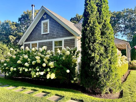 Oak Bluffs Martha's Vineyard vacation rental - Front corner - surrounded with the quintessential hydrangeas