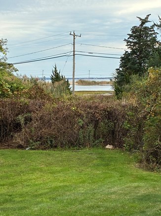 Oak Bluffs, Waban Alley Park Martha's Vineyard vacation rental - Backyard view of Farm Pond..