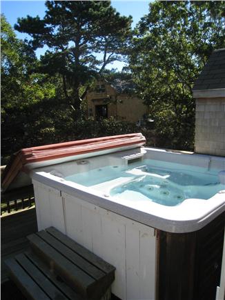 Katama-Edgartown, Edgartown Martha's Vineyard vacation rental - Hot Tub