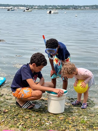 Oak Bluffs, Lagoon Pond Salt-Waterfront Martha's Vineyard vacation rental - Entertainment