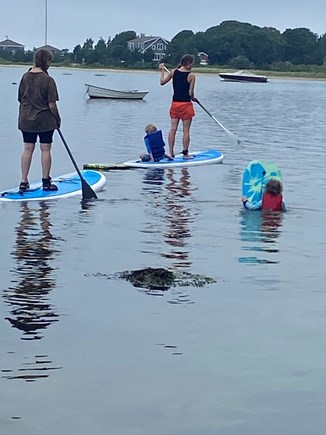 Oak Bluffs, Lagoon Pond Salt-Waterfront Martha's Vineyard vacation rental - Hours of fun on the Lagoon...