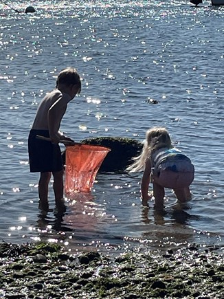 Oak Bluffs, Lagoon Pond Salt-Waterfront Martha's Vineyard vacation rental - Endless exploring...