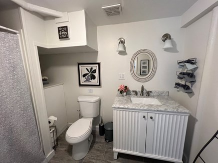 Oak Bluffs Martha's Vineyard vacation rental - Second Bathroom on the lower, walkout level