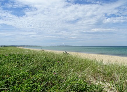 Oak Bluffs, East Chop Martha's Vineyard vacation rental - Enjoy the beautiful beaches on the Vineyard, Eastville .5 miles