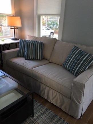 Oak Bluffs Martha's Vineyard vacation rental - Comfy Couch - Queen Size Sleeper