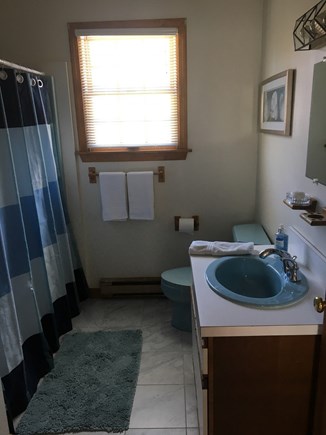 Katama-Edgartown, Katama Edgartown   Martha's Vineyard vacation rental - Upstairs bathroom tub shower  Blues on the run