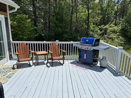 Edgartown Martha's Vineyard vacation rental - Weber Grill