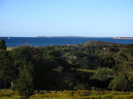 Chilmark Martha's Vineyard vacation rental - Standing on the back porch, gazing at the ocean