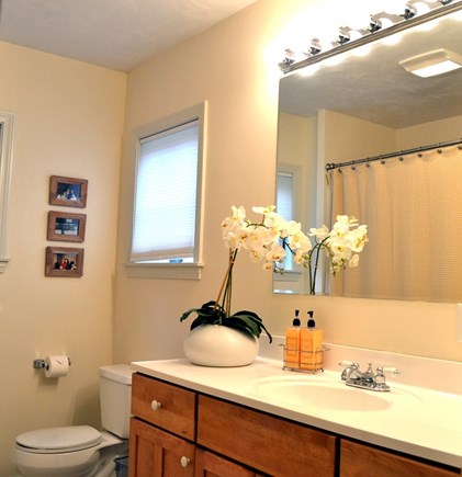 Oak Bluffs Martha's Vineyard vacation rental - Another Full Bathroom