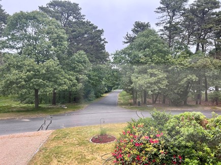 Oak Bluffs Martha's Vineyard vacation rental - View outside living room window