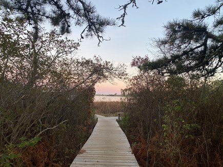 Oak Bluffs Martha's Vineyard vacation rental - 