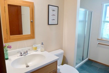 Chilmark Martha's Vineyard vacation rental - Bathroom