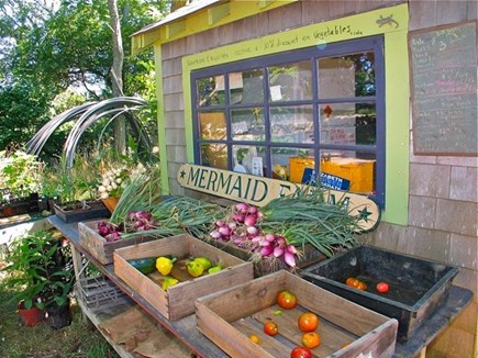 Chilmark Martha's Vineyard vacation rental - Fresh produce!