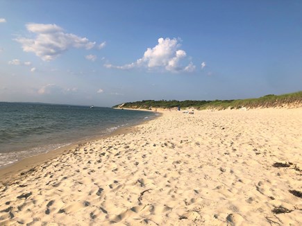 Lambert's Cove, West Tisbury Martha's Vineyard vacation rental - Walk or Bike to Tranquil Lamberts Cove Beach