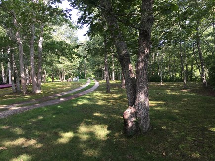 Chilmark Martha's Vineyard vacation rental - Nestled in the woods at the end of a 1/4 mile driveway