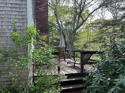 West Tisbury Martha's Vineyard vacation rental - 