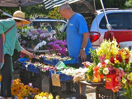 West Tisbury Martha's Vineyard vacation rental - Farmers Market every Wednesday and Saturday at the Ag Hall