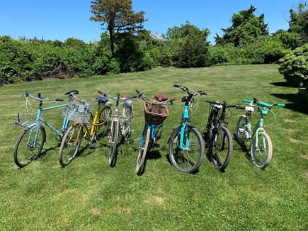 Katama-Edgartown, Katama  Martha's Vineyard vacation rental - Bikes for all ages