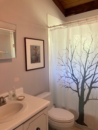 West Tisbury Martha's Vineyard vacation rental - Upstairs full bathroom with shower/tub
