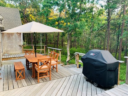 Vineyard Haven, West Chop Martha's Vineyard vacation rental - Back deck with a dining table and gas grill overlooking 2 acres