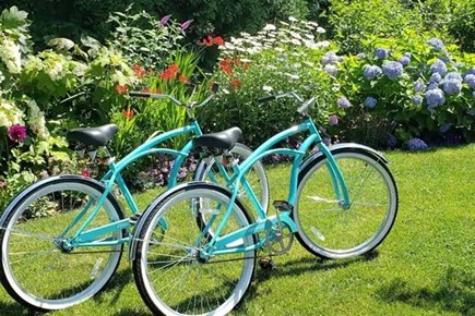 Oak Bluffs Martha's Vineyard vacation rental - We have bicycles on the property for our guest to use around town