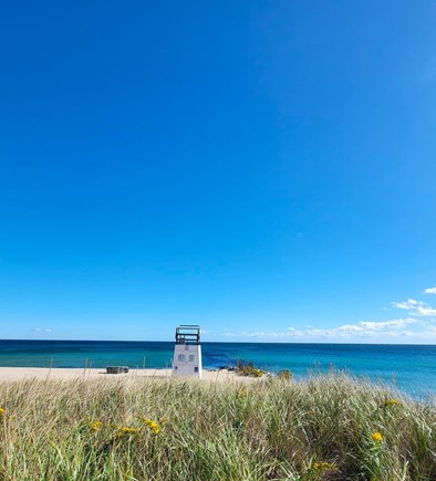 Oak Bluffs Martha's Vineyard vacation rental - Inkwell Beach