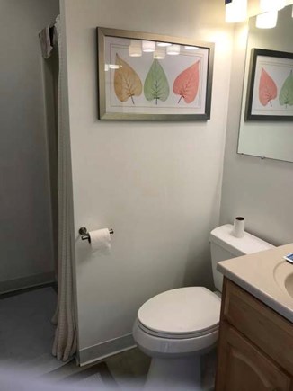 Oak Bluffs, Brush Pond/Eastville Martha's Vineyard vacation rental - Bathroom with Shower