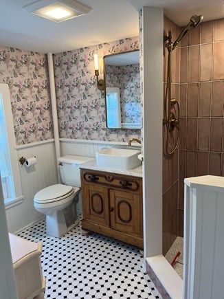 Oak Bluffs, East Chop Martha's Vineyard vacation rental - King bedroom ensuite bathroom (shower)