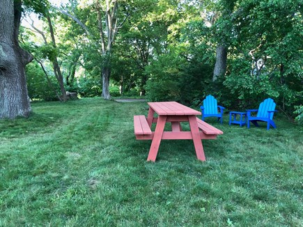 Oak Bluffs, East Chop Martha's Vineyard vacation rental - Large back lawn for relaxing or a picnic