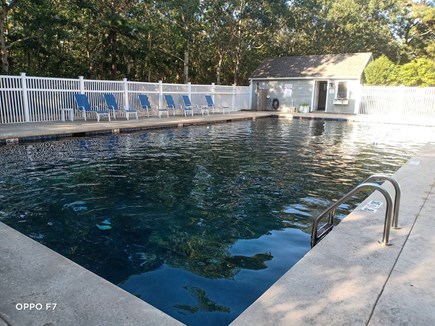 Edgartown Martha's Vineyard vacation rental - Late afternoon at the pool