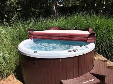Aquinnah Martha's Vineyard vacation rental - 1st Floor Nordic Hot Tub Side Deck