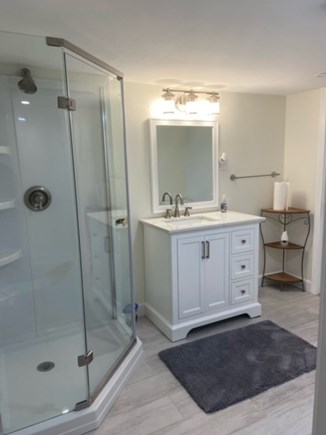 Oak Bluffs Martha's Vineyard vacation rental - Lower level full bathroom