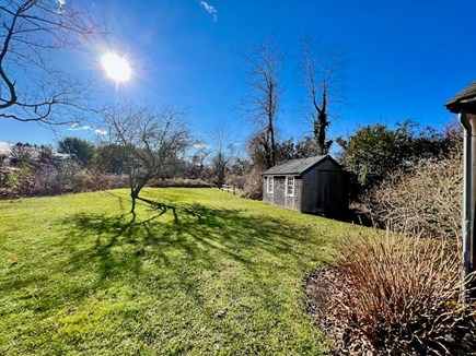 West Tisbury Martha's Vineyard vacation rental - Large, sunny yard for playing and relaxing!