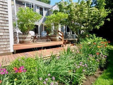 Chilmark, Seven Gates Martha's Vineyard vacation rental - Beautifully landscaped outdoor areas all around the house