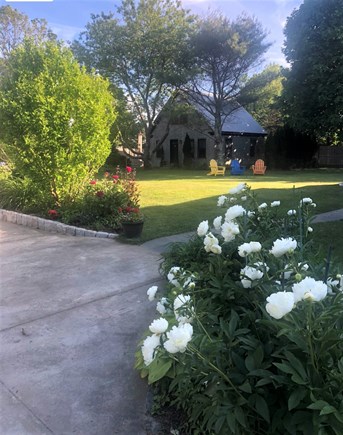 Edgartown, Katama Martha's Vineyard vacation rental - Guest house has private setting w/beautifully landscaped yard